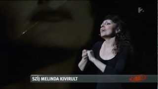 Szíj Melinda új szerelme is ott volt első fellépésen a Győri Balettel - tv2.hu/aktiv