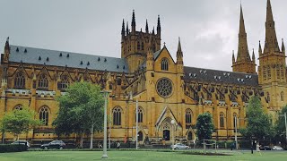 1:10pm Mass St Mary's Cathedral Sydney for the Memorial of St Francis de Sales 24 January 2025