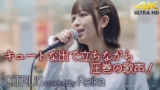 【 歌うま 】キュートな立ちながら圧巻の歌声！　CITRUS / Da-iCE（ covered by Reika ）4K映像