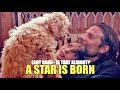 Lady Gaga - Is That Alright? (Lyric video) • A Star Is Born Soundtrack •