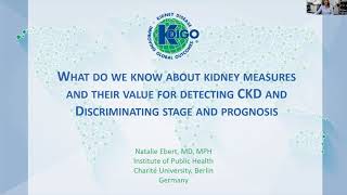 Available Kidney Measures, Their Value for Detecting CKD, and Discriminating Stage and Prognosis