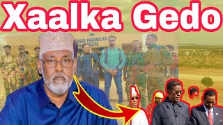 DEGDEG: AXMED MADOBE OO AWOOD KULA WAREEGAY BAARDHEERE IYO VILLA SOMALIYA OO MARKALE JAB CULUS...