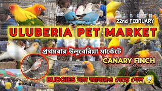 ULUBERIA PET MARKET BIRDS PRICE UPDATE ON 22nd  FEBRUARY #cheapestprice #uluberia_pet_market #birds