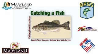 Fishing Best Practices  - Catching a Fish - Maryland Department of Natural Resources