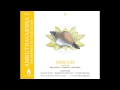 Vedic Chants - Shreyas -  