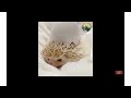 cute white porcupine in angry mode shorts cute pets