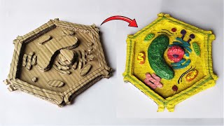 Cardboard Plant Cell Model | DIY Project | Holiday Homework