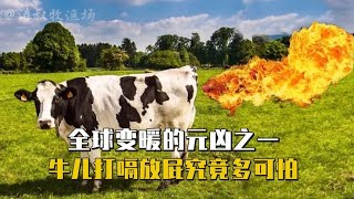 全球变暖的元凶，世界末日的无形推手，牛儿打嗝放屁究竟多可怕？【涛叔牧渔场】