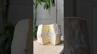 LES APÉROS DE NOËL - Épisode 4 : le fromage à la truffe ❤️