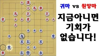 [타이슨장기 2902] 차 살릴기회!! 지금 아니면 기회가 없습니다.