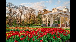 Things to do in Bendigo this Spring