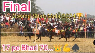 Old Is Gold🔥Govind Shahab Mela 2024⚜️#horse #sindhihorse #horseracing #race #horselover #horsesports