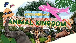 【ディズニーアニマルキングダム】フロリダ旅行に行ってきました✈️vol.2 WDW Disney Animal Kingdom