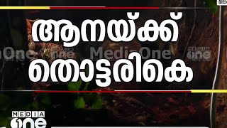 ആനയ്ക്ക് തൊട്ടരികെ ജെസിബിക്കൈ  | Elephant traped in malappuram