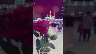 Happy birthday Mola Hussain | 3 Shaban Whatsapp Video Status | Imam Hussain Status | Karbala