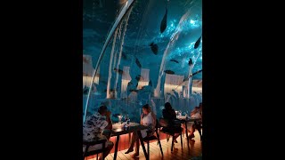 Hurawalhi Island Resort Maldives - Underwater Restaurant 2022