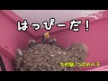 もぐもぐのうた