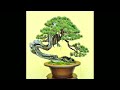 inspirasi bonsai meliuk ekstrim