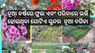 ଫୁଲ ଏବଂ ଫଳ ଭର୍ତ୍ତି ହୋଇଥିବା ଗୋଟିଏ ନୂଆ ବଗିଚା କୁ ବୁଲିଯିବା