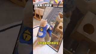 【小奶貓成長記】總的來說我還挺滿意的 但是感覺它們不咋滿意