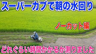 【スーパーカブ】朝の田んぼの水回りをノーカットでご紹介します 30代米作り奮闘記#102