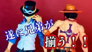 感無量！！ワンピース三兄弟がアーツへ【S.H.Figuarts ONE PIECE サボ＆エース】同時レビュー