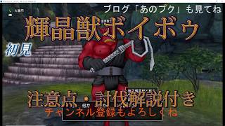 【輝晶獣ボイボゥ討伐攻略解説】構成バトルマスター天地雷鳴士僧侶２