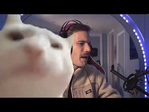 Cat Vibing To Pewdiepie Singing Ievan Polkka Cat Vibing To Street Cat Vibing To Pewdiepie Singing Ievan Polkka Cat Vibing To Street