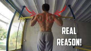 Can't Progress With Pull-ups? (REAL REASON WHY!)