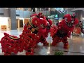 新加坡德勝龍獅團 Singapore De Sheng Lion Dance Cai Qing performance Grand Opening Food Dynasty