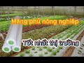 Màng Phủ Nông Nghiệp Tốt Nhất Thị Trường || Hoàng Dũng Green || Nông nghiệp xanh