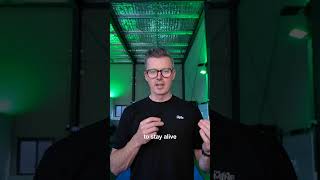 How To Predict Your Longevity With 1 Metric Rhr Explained