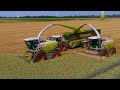 The Strongest Harvesters!! / Claas Jaguar 990 & 980 / Jumpers / Wheat Silage / GPS Häckseln / Fendt