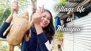 Village life in Manipur | Nganu🦆Kg 3 kangna thongba | Farm sengbagi Matam yam leitabagi khuthong 😅