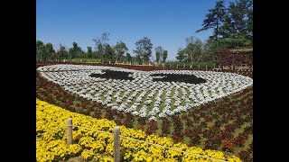 無観客の空から～東武動物公園　ハートフルガーデン