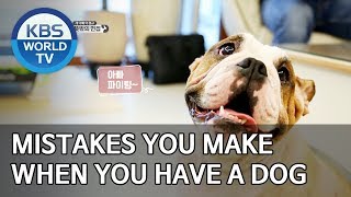 Mistakes you make when you have a dog [Dogs are incredible/ENG/2019.11.27]