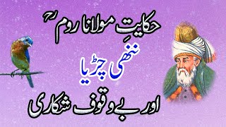 Hikayat e Roomi in Urdu : Little Bird and Hunter (Rumi Tales in Urdu) || Hilal Studio