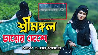 শ্রীমঙ্গল চায়ের দেশে / Shreemangoal / new blog video 2025/ সিলেটি ছেলে ঠাকুরগাঁও এর মেয়ে