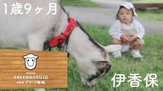 【赤ちゃん 1歳9ヶ月】伊香保 グリーン牧場へ 【成長記録】