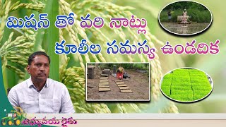 మిషన్ తో వరి నాట్లు- కూలీల సమస్య ఉండదిక ll శ్రీ చలుమూరి మాధవ రావు