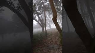 আজকে প্রচুর কুয়াশা#nature #কুয়াশা #youtube #shortsviral #vedioviral