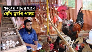 ঢাকা শহরে বাড়ির ছাদে দেশি মুরগি পালন তাও প্রাকৃতিক পদ্ধতিতে আসুন জেনে নেই খামার করার নিয়ম...