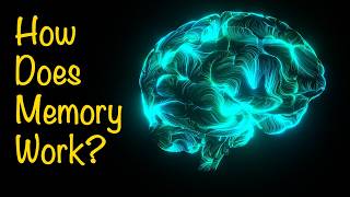 How the Brain Stores Memories | The Science Behind Memory Explained