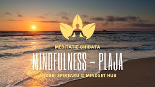 Mindfulness: Plaja - Meditatie ghidata cu Andrei Spirtaru