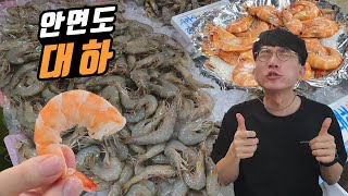 자연산 대하 1kg 가격은? 안면도 여행, 새우 소금구이 먹방! (with 새우튀김)