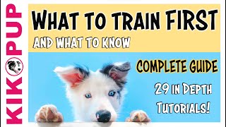 COMPLETE GUIDE to PUPPY TRAINING - What to train FIRST
