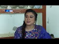 zahar zindagi ep 338 sindh tv soap serial sindhtvhd drama