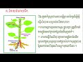 wns biology g8មេរៀនទី២ ដំណឹកនាំក្នុងរុក្ខជាតិមានសរសៃនាំ ត