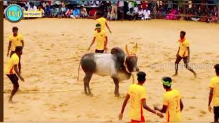 காளையும் சிறந்த காளை வீரர்களும் சிறந்த வீரர்கள்.... பரபரப்பான ஆட்டம்... 😱