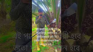 এই পকেট যত ভারী হবে ততো মানুষ আপন হবে এটাই বাস্তবতা তুমি কি বুঝতে পেরেছো তাহলে টাকা কামড়ায় ভাই#new